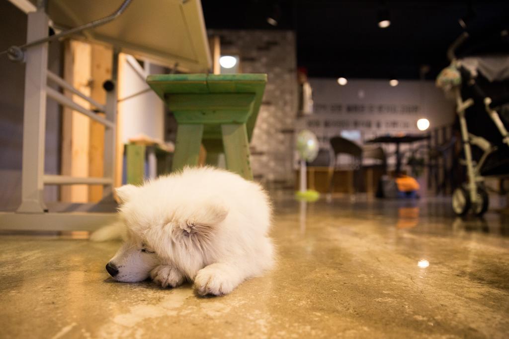 Suncheon Guesthouse Nreem エクステリア 写真